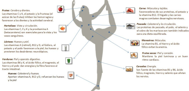 La importancia de una alimentación y nutrición adecuadas.